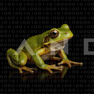 Frog - 000001