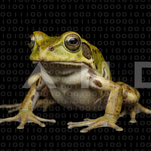Frog - 000005