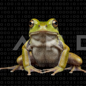 Frog - 000015