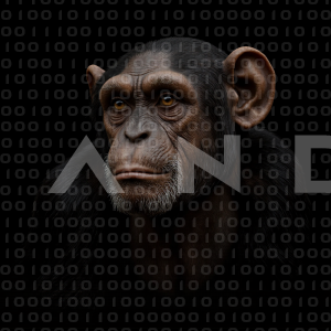 Chimpanzee - 000029