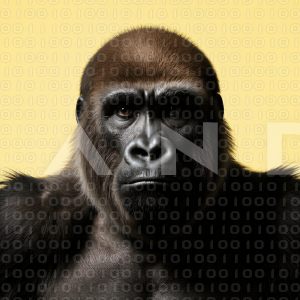 Gorilla - 000047