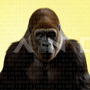 Gorilla - 000067