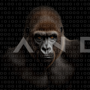 Gorilla - 000075
