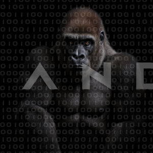 Gorilla - 000077