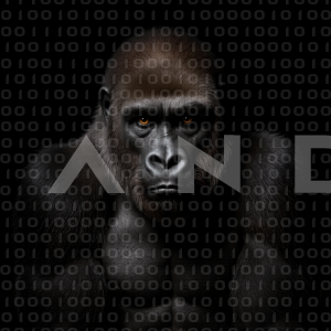 Gorilla - 000081