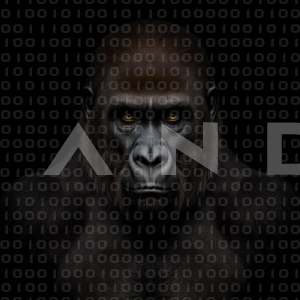 Gorilla - 000089