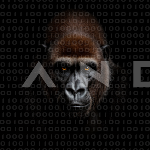 Gorilla - 000090