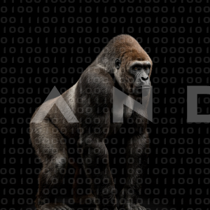 Gorilla - 000093