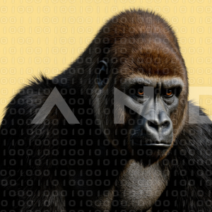 Gorilla - 000020