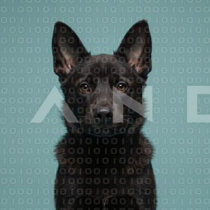 German Shepherd Puppy 000034