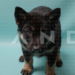 German Shepherd Puppy 000040