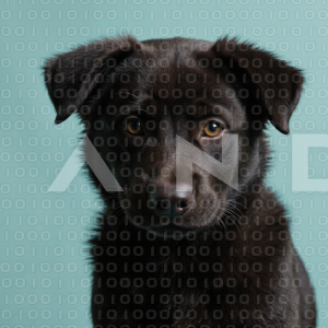 Labrador Retriever Puppy 000110