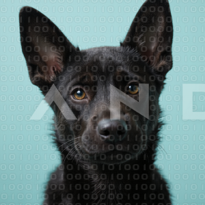 German Shepherd Puppy 000055