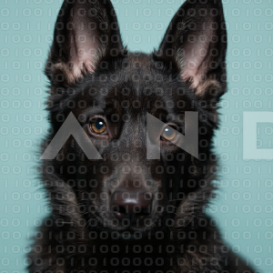 German Shepherd Puppy 000077