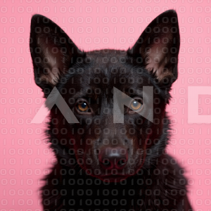 German Shepherd Puppy 000004