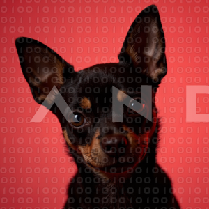 Chihuahua Puppy 000147