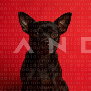 Chihuahua Puppy 000169