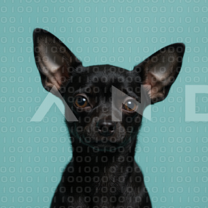 Chihuahua Puppy 000075