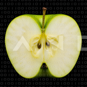 Apples - 000173
