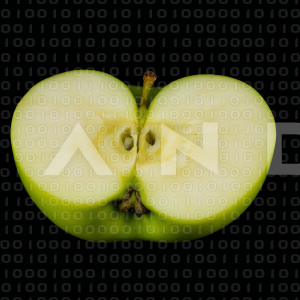 Apples - 000174