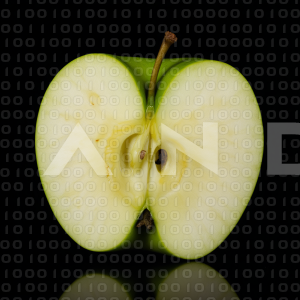 Apples - 000177