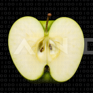 Apples - 000181