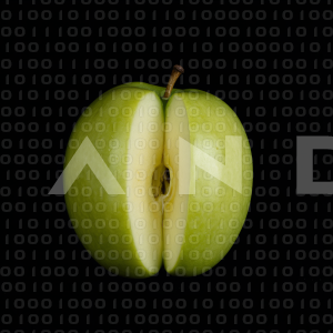 Apples - 000182