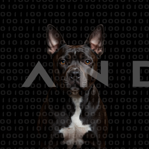 Staffordshire Pitbull - 000016