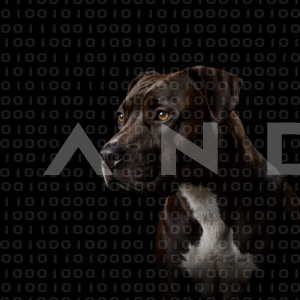 Staffordshire Pitbull - 000019