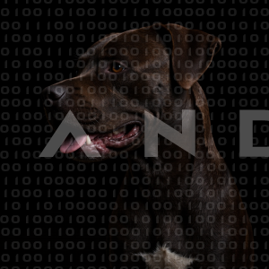 Staffordshire Pitbull - 000021