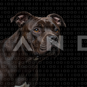 Staffordshire Pitbull - 000023