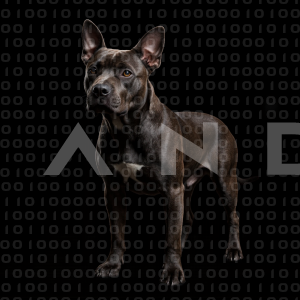 Staffordshire Pitbull - 000029