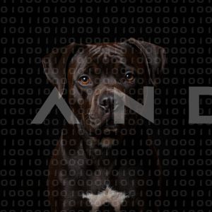 Staffordshire Pitbull - 000032