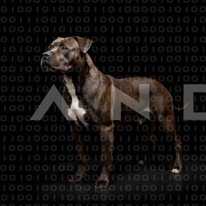 Staffordshire Pitbull - 000036