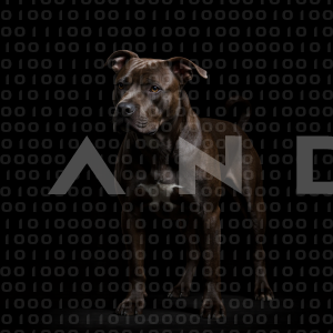 Staffordshire Pitbull - 000039