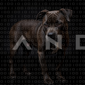 Staffordshire Pitbull - 000040