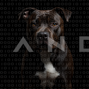 Staffordshire Pitbull - 000041