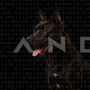 Staffordshire Pitbull - 000044