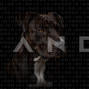 Staffordshire Pitbull - 000045