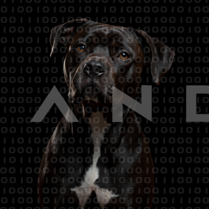 Staffordshire Pitbull - 000046