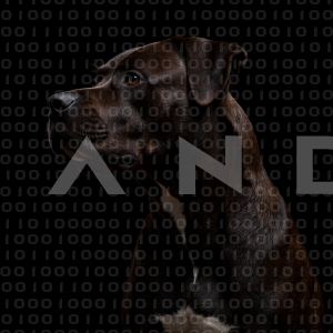 Staffordshire Pitbull - 000050