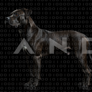 Staffordshire Pitbull - 000051