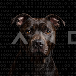 Staffordshire Pitbull - 000052