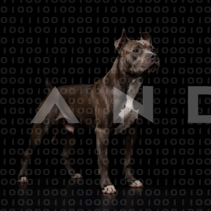 Staffordshire Pitbull - 000054