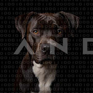 Staffordshire Pitbull - 000059