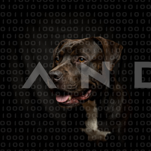 Staffordshire Pitbull - 000061