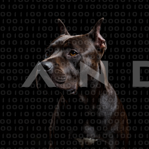 Staffordshire Pitbull - 000066