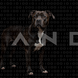 Staffordshire Pitbull - 000069