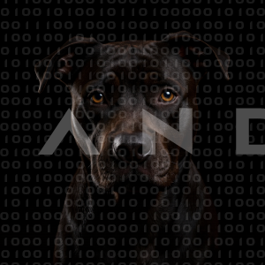 Staffordshire Pitbull - 000007