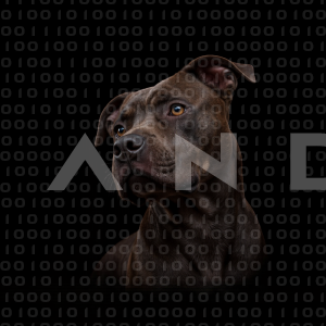 Staffordshire Pitbull - 000009